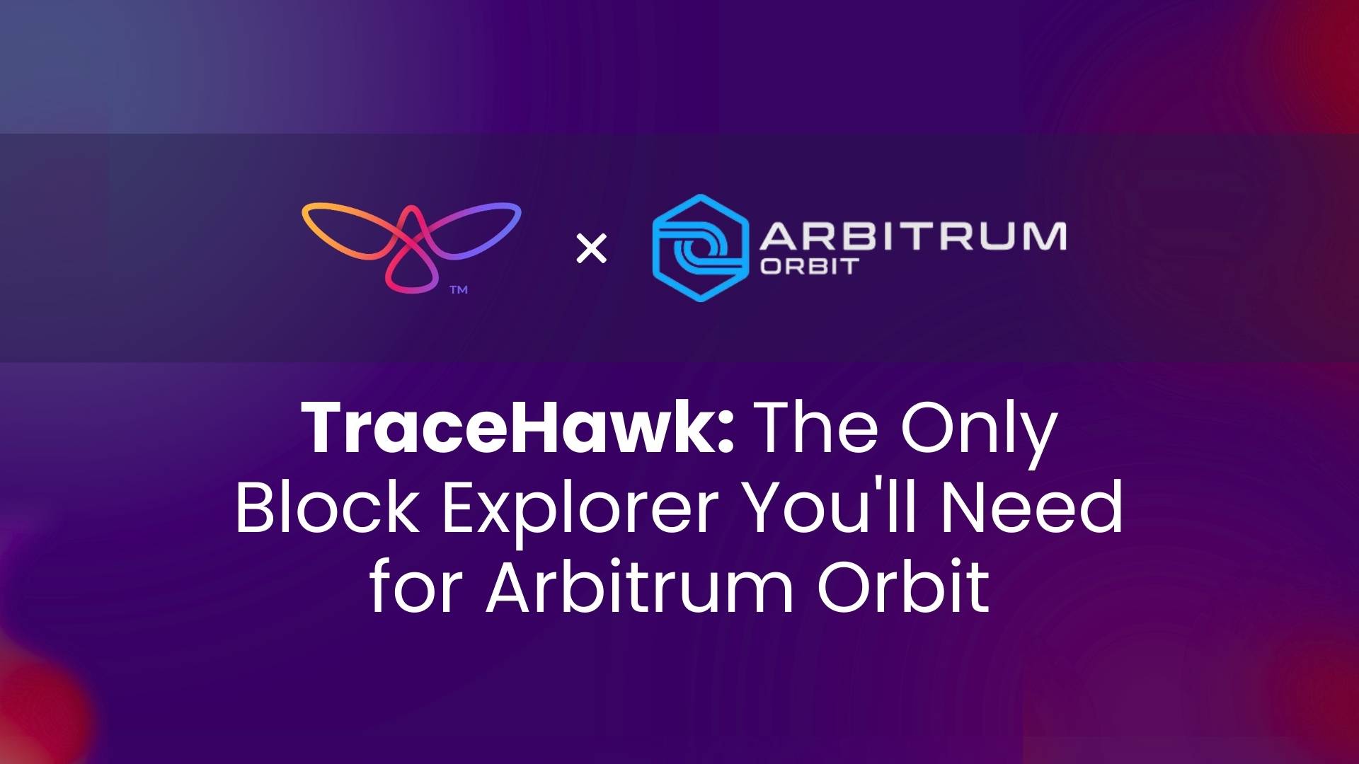 TraceHawk-The-Only-Block-Explorer-Youll-Need-for-Arbitrum-Orbit (2).jpg
